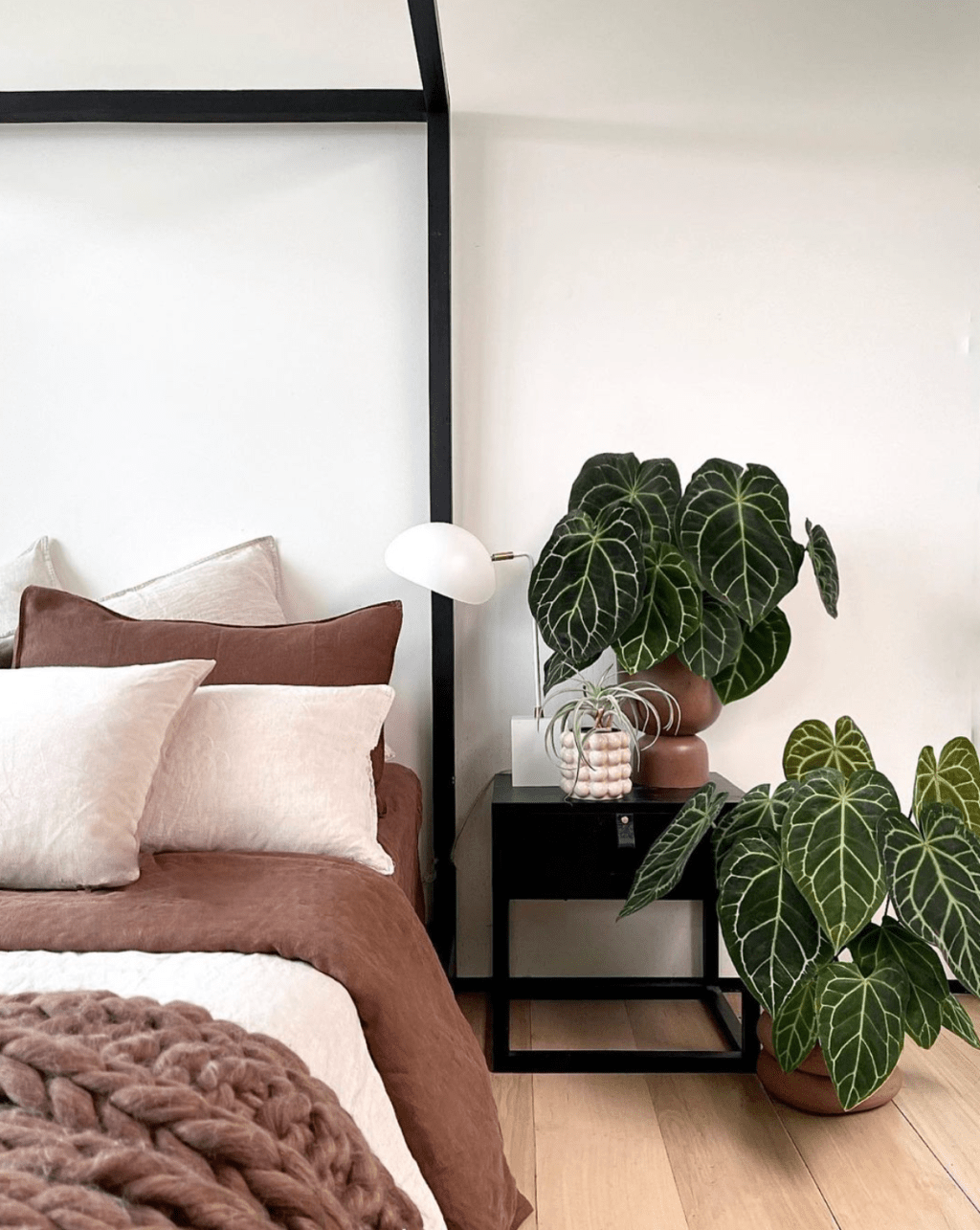 Styling with plants: creating your own urban&nbsp;jungle!